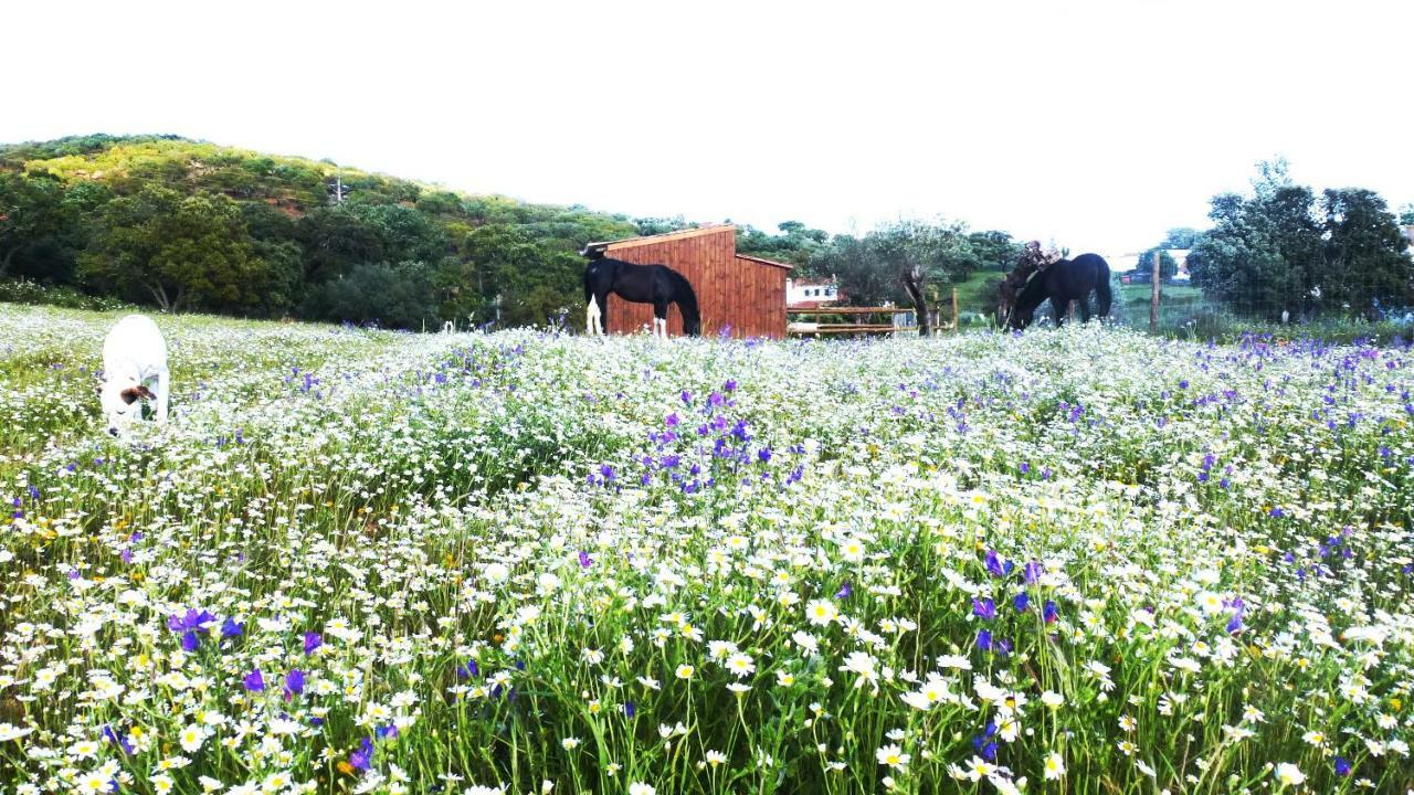 Sharish - Monte Das Estevas Estremoz Kültér fotó