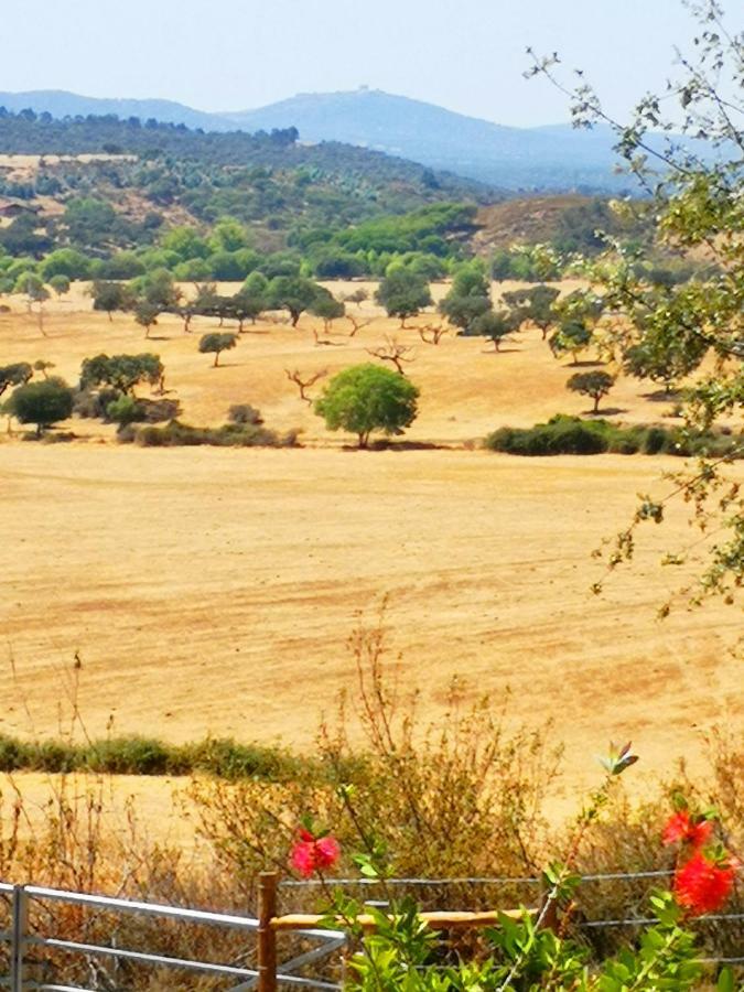 Sharish - Monte Das Estevas Estremoz Kültér fotó