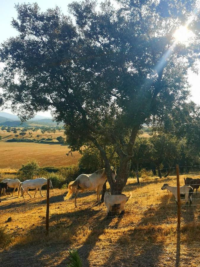 Sharish - Monte Das Estevas Estremoz Kültér fotó