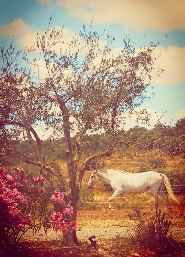 Sharish - Monte Das Estevas Estremoz Kültér fotó