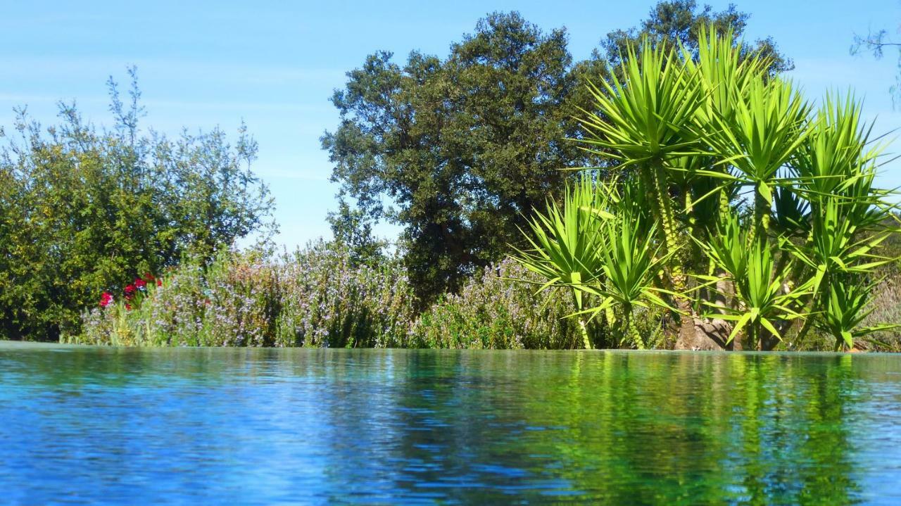 Sharish - Monte Das Estevas Estremoz Kültér fotó